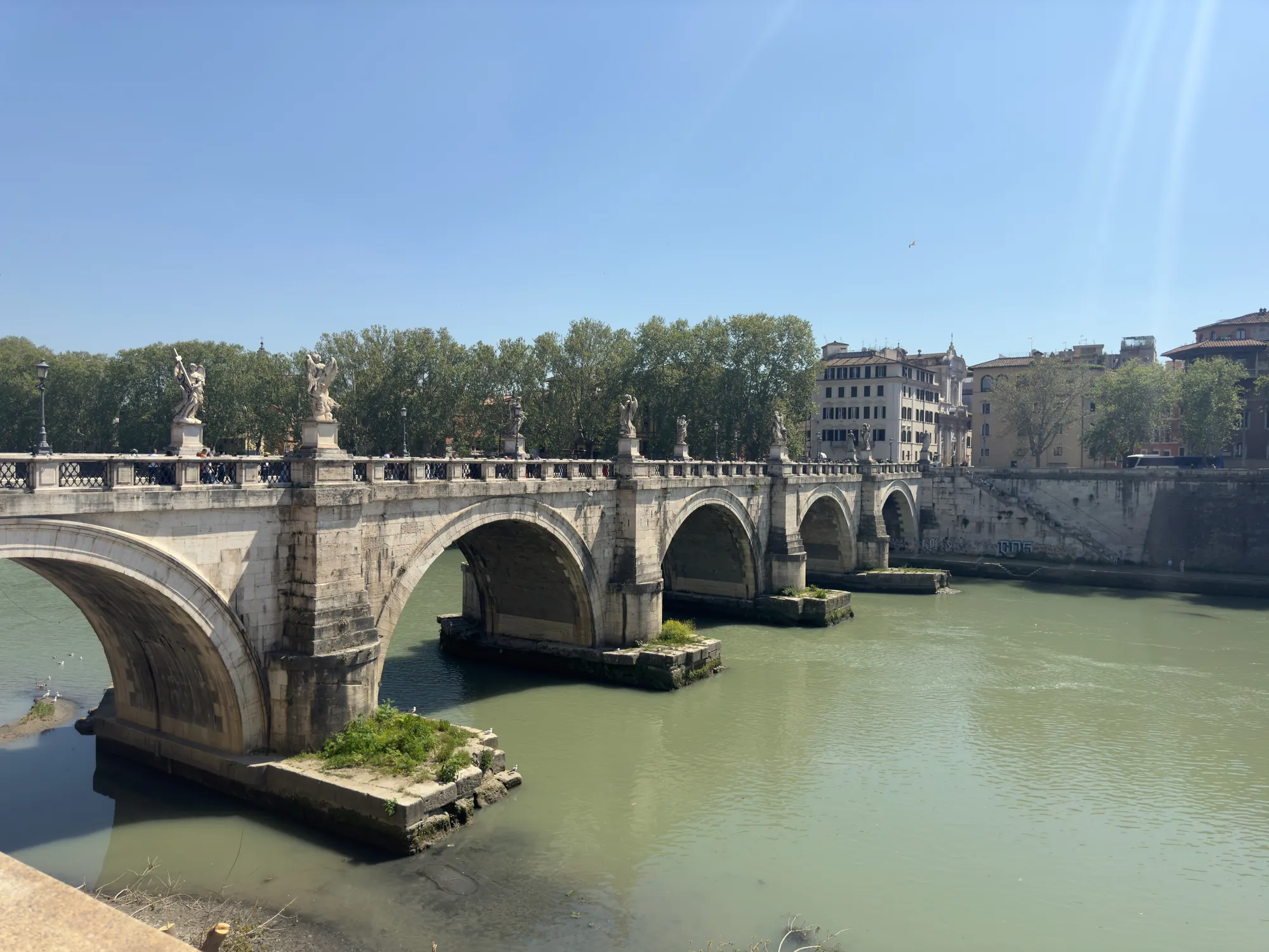 Reflections on the Tiber