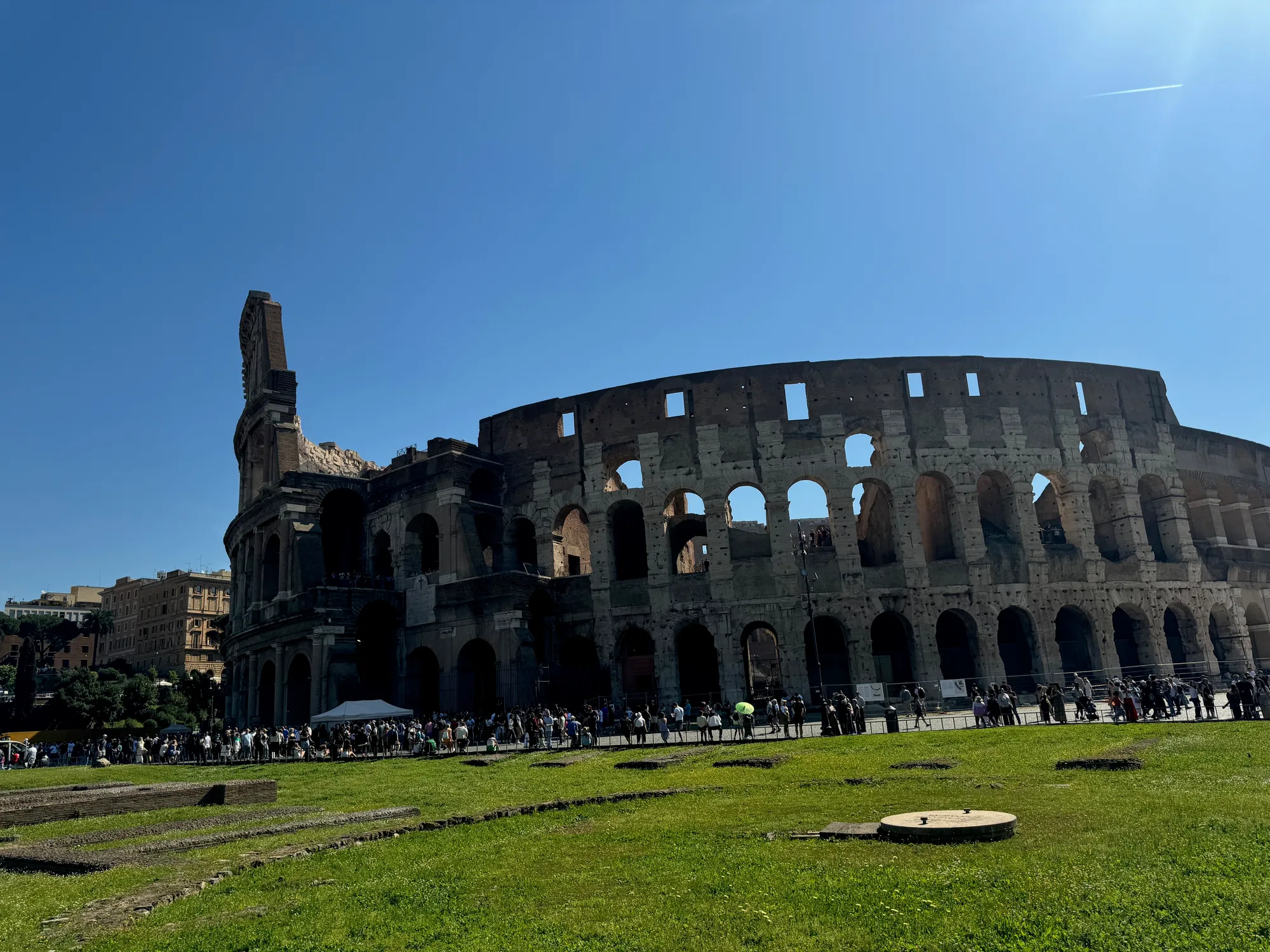 The Grass Before the Ruins