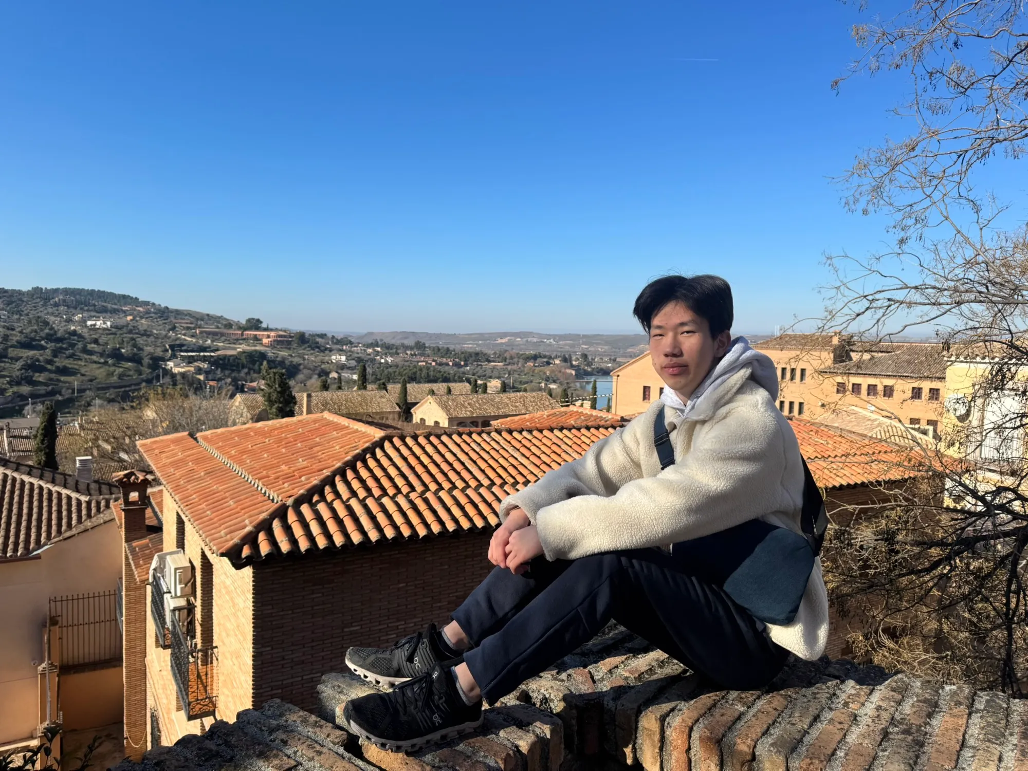 A Family Portrait Above Toledo