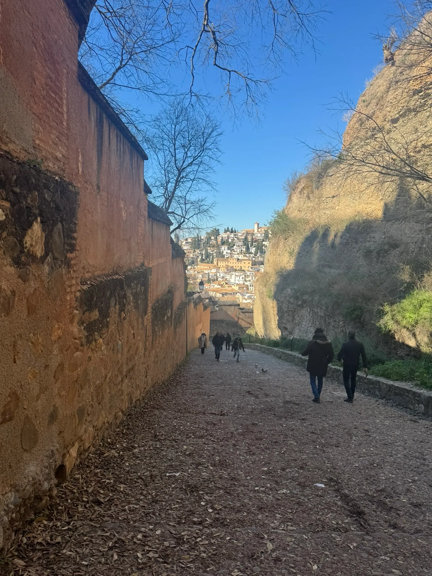 Path Toward the Albaicín
