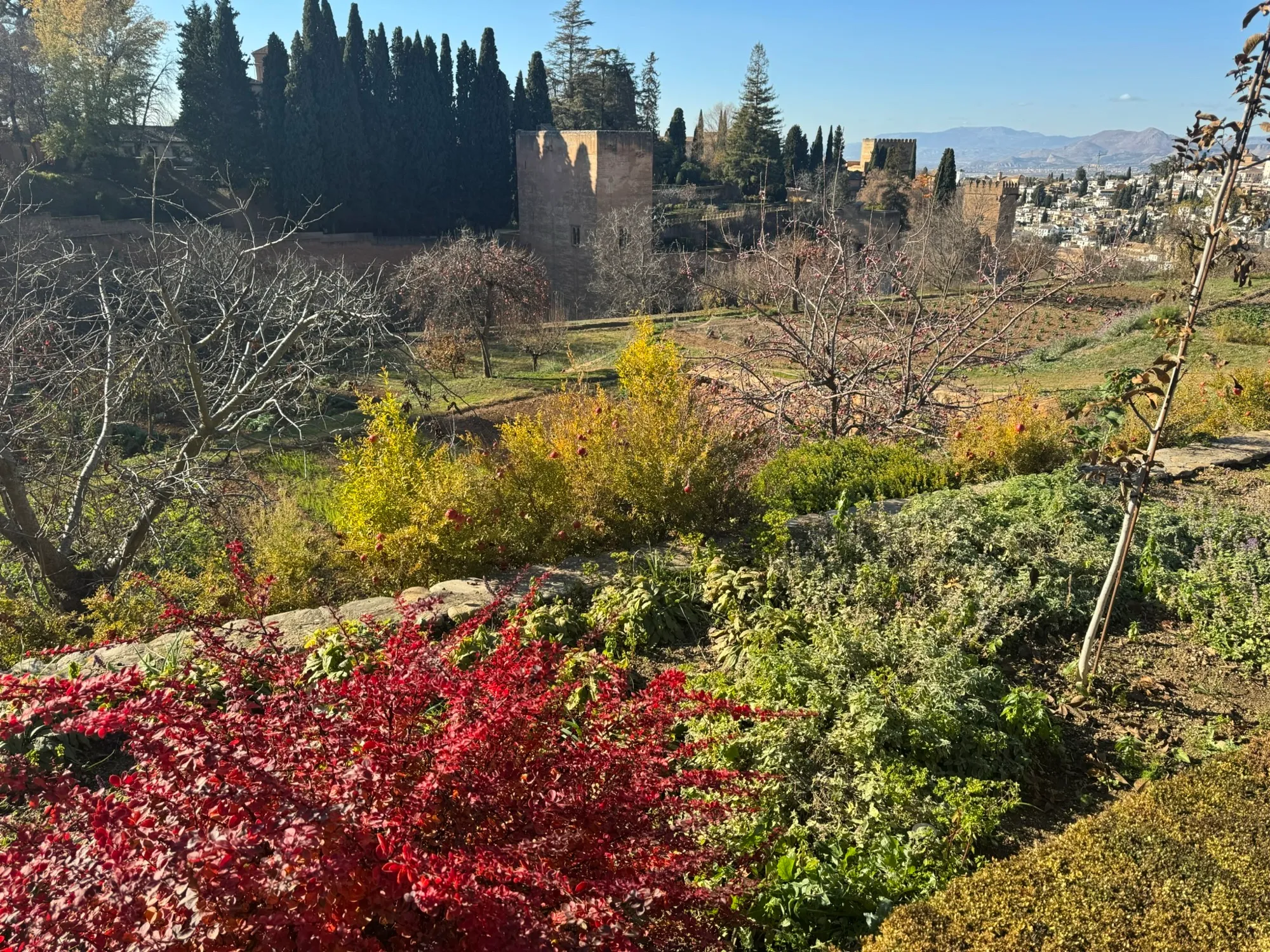 Gardens Above Granada
