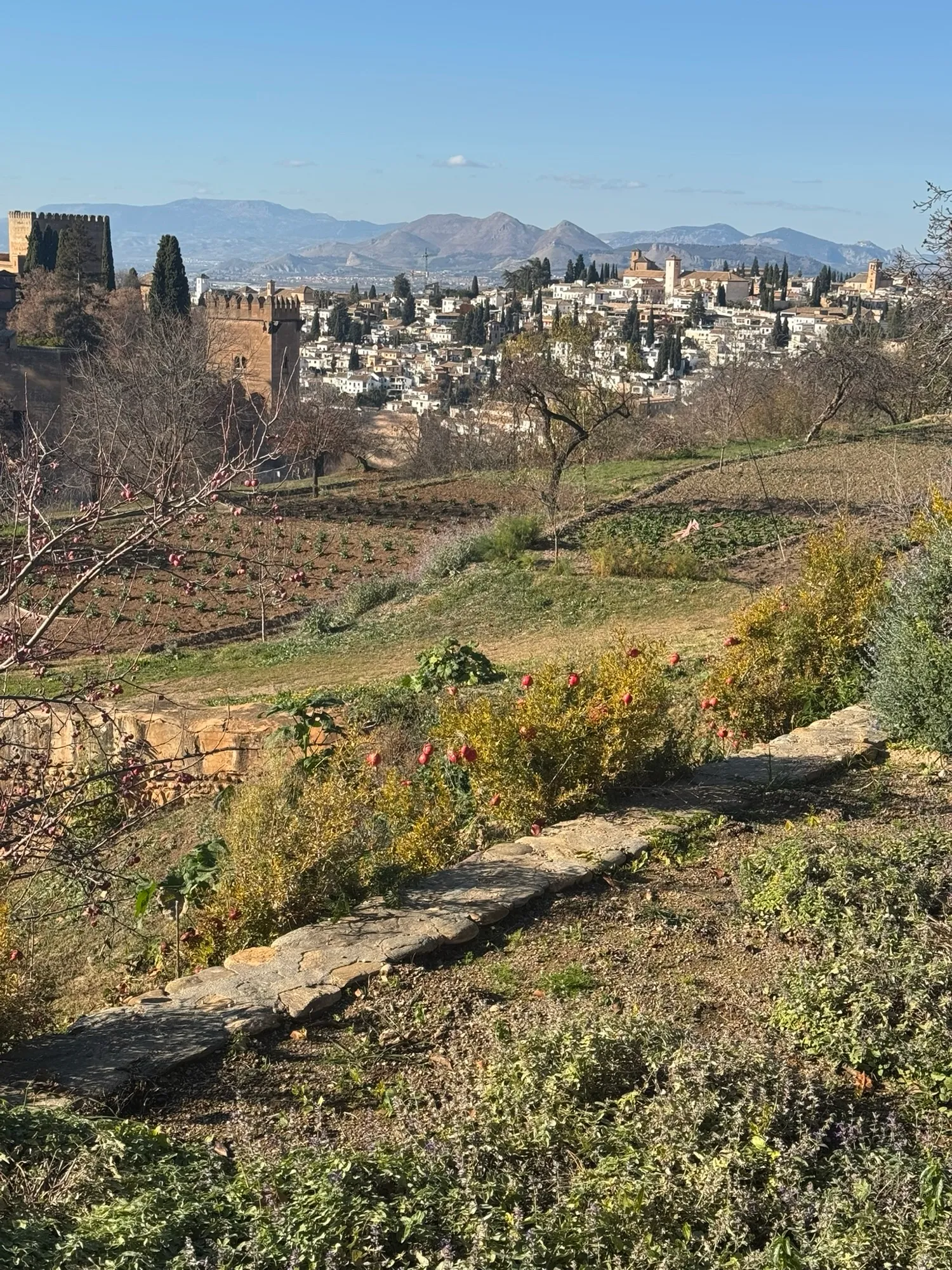 Albaicín Across the Valley