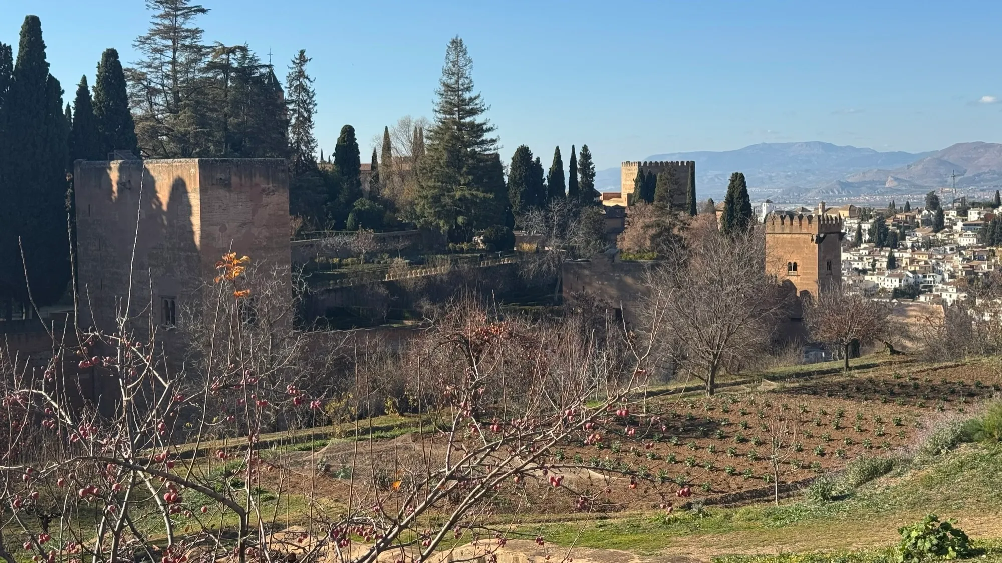Towers and Terraces