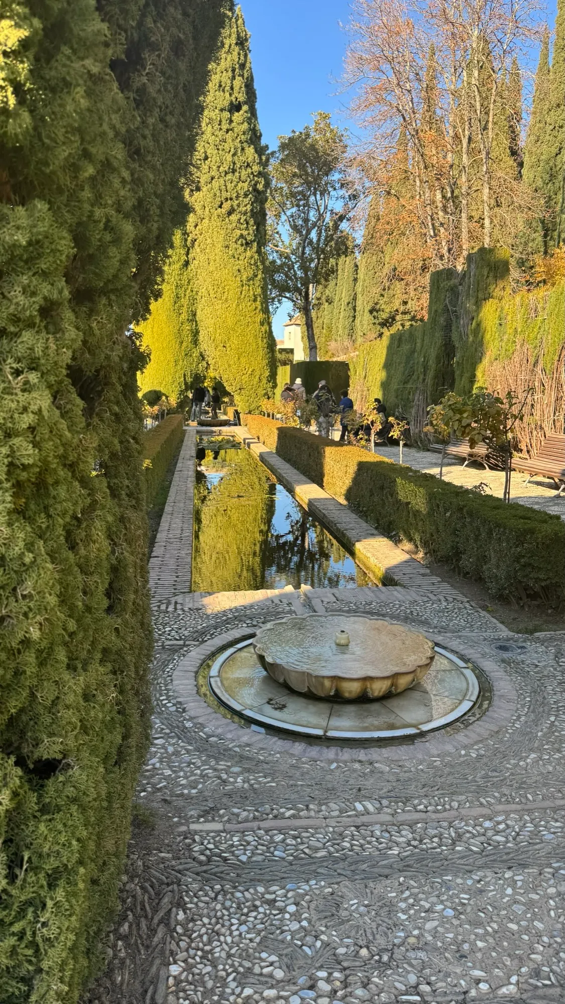 Garden of Water
