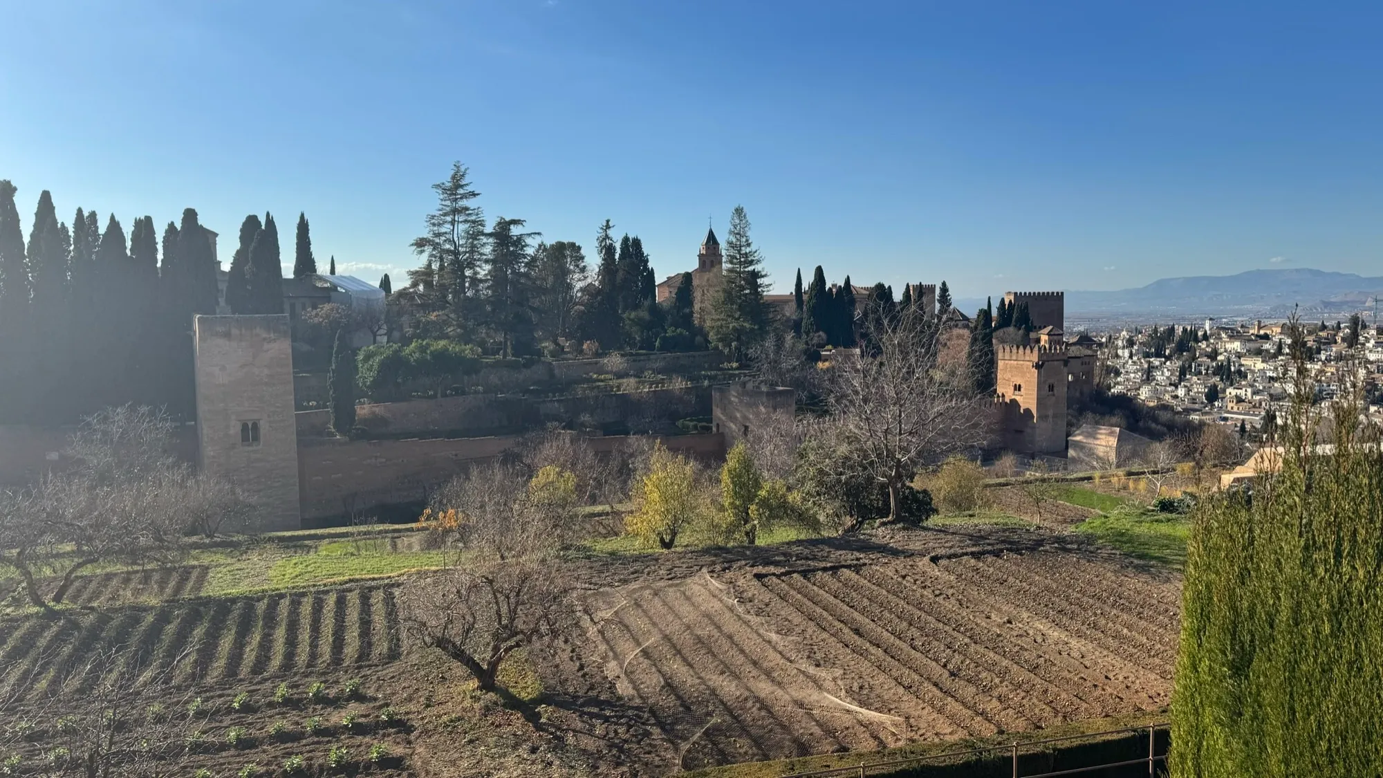 The Palace and the City
